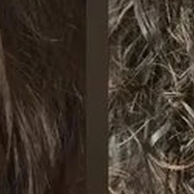 1000 и 1 стрижка