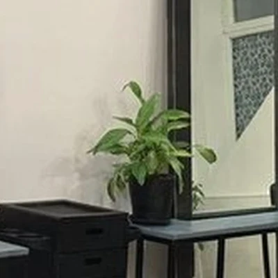 _la_ana