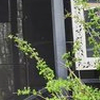 Apriori в Камышине улица Базарова, 105