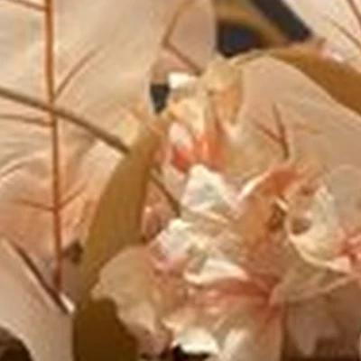 Beauty skin в Магадане улица Гагарина, 10/31