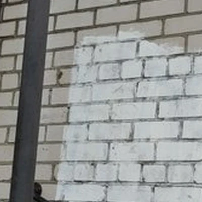 Zebra в Нарьян-маре Смидовича, 18