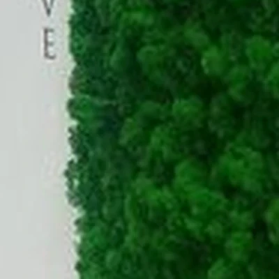 Beauty bar в Находке проспект Мира, 51