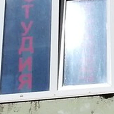 Багира в Норильске Озёрная улица, 17
