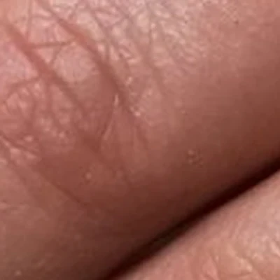 #Летостудия