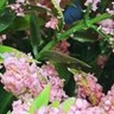 Nail Studio by Anastasia Yagodinceva