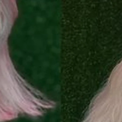 Princesses hair