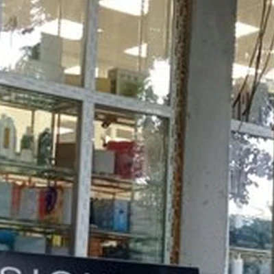 Professionnel
