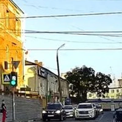 Орел Парик