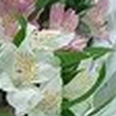 Bad boys в Омске Амурская 21-я улица, 6