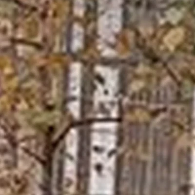 5th avenue в Калуге улица Чижевского, 11