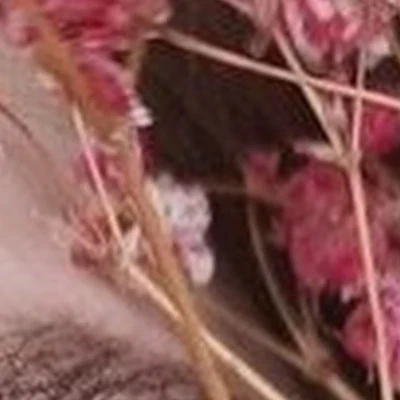 A/N
