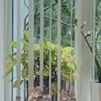 Фике в Благовещенске улица Шевченко, 7