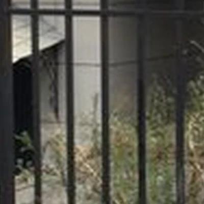 99 лиц в Владивостоке Пушкинская улица, 26