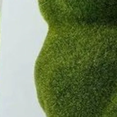 Dudu в Владивостоке Тигровая улица, 16а