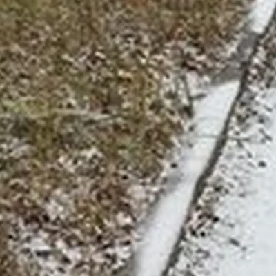 Aravia в Протвине Железнодорожная улица, 14