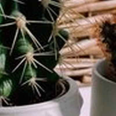 Barbara в Подольске улица Победы, 5