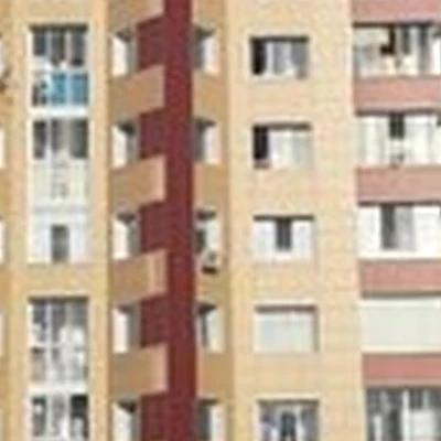 Soknail Professional