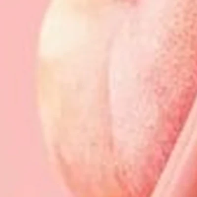 Premier Basic Professional в Петропавловске-камчатском Топоркова, 8/2