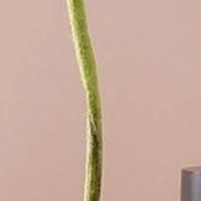 Beauty Zone в Ульяновске улица Рябикова, 75