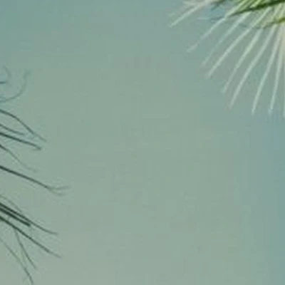 Доктор Соль в Бийске улица Степана Разина, 70