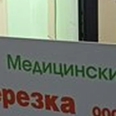 Березкаmed