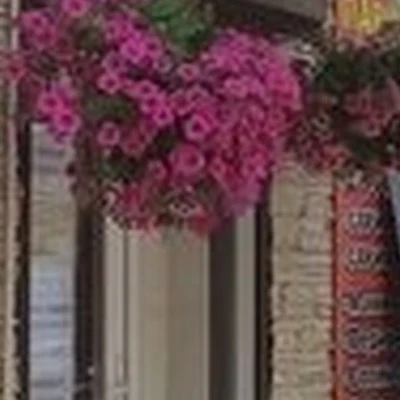 Клеопатра в Щёлкове проспект 60 лет Октября, 11а