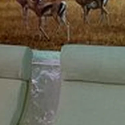 Соль плюс в Дальнегорске улица Космонавтов, 6