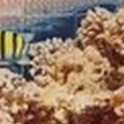 Аквакомплекс