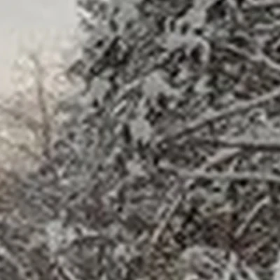 Лыжно-спортивный комплекс