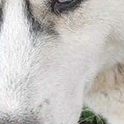 Вдохни здоровье