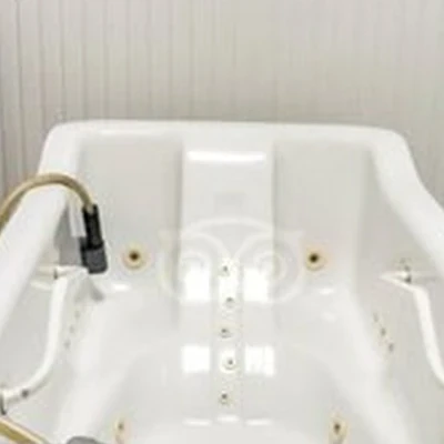 Лотос в Сочи Курортный проспект, 72