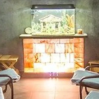 Амира в Пензе Тимирязева 2-й проезд, 3