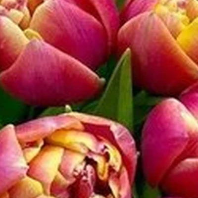 Salt Mine в Саранске Волгоградская улица, 77