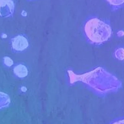 Соляная пещера в Новосибирске улица Писарева, 82