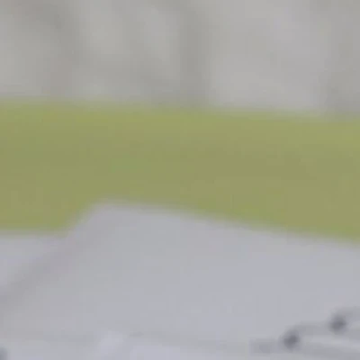 Домисолька