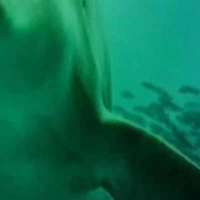 Галит в Хабаровске улица Ворошилова, 29Б