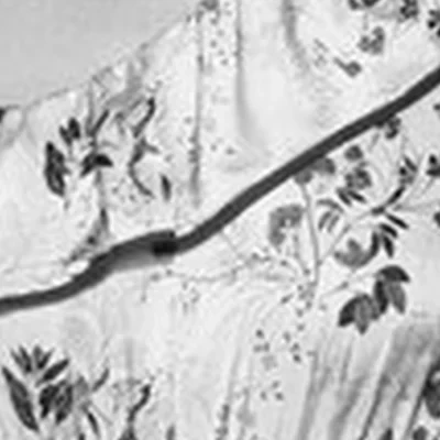 Fichte в Кемерово Притомская Набережная, 19