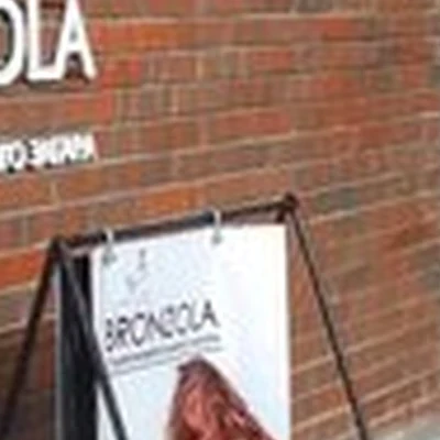 Bronzola