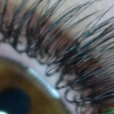 Вера ресничка