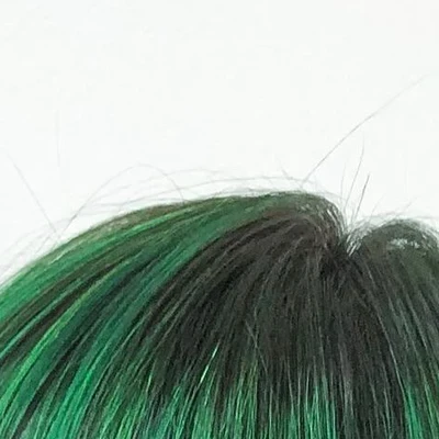 Color_fox_beauty