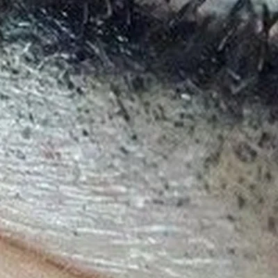 Dolce Vita в Саранске Севастопольская улица, 60