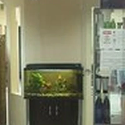 Изумруд в Калининграде проспект Победы, 137