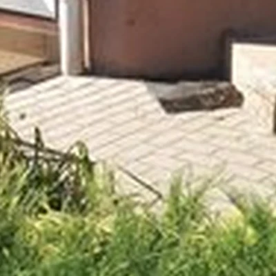 Сафари в Калининграде улица Толбухина, 6