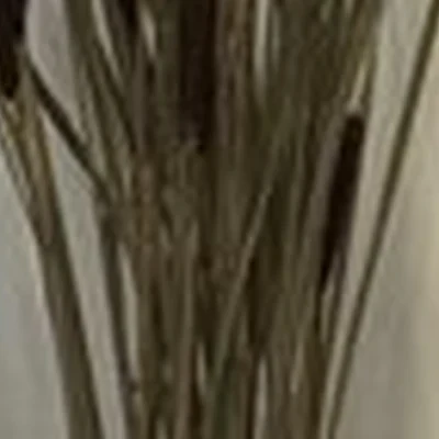 Blackberry в Ставрополе улица Ленина, 219