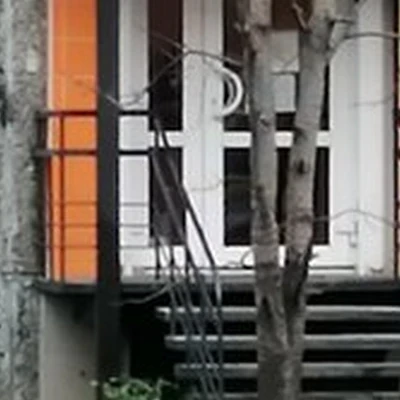 Гармония в Мурманске улица Александра Невского, 95