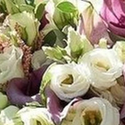 Sun club в Петропавловске-камчатском проспект Победы, 12