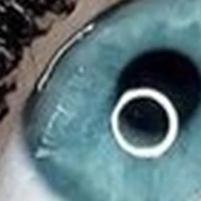 Beauty bar в Новокузнецке Транспортная, 47а