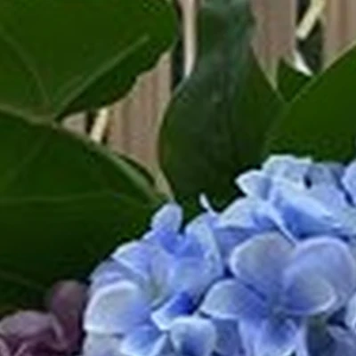 Viki в Новокузнецке улица Тореза, 61в