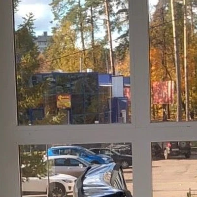 Золотая стрекоза в Димитровграде Ульяновская область, Димитровград, проспект Ленина, 35, 2 этаж