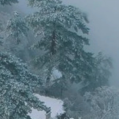 Золотой Цветок